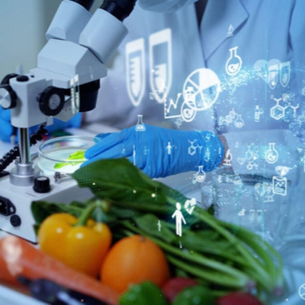 Applications universelles de l'équipement général de laboratoire