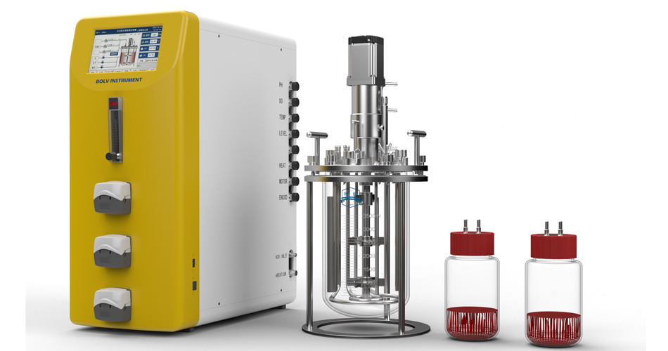 Pourquoi les bioréacteurs Benchtop comptent