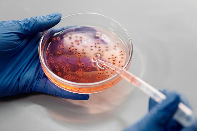 Precision Laboratory Instruments in Biotechnology